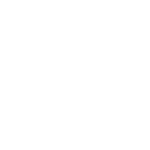 Travel With Bruno